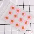 100 fleurs de chrysanthème blanches séchées pour résine – Couleur Brun (05)