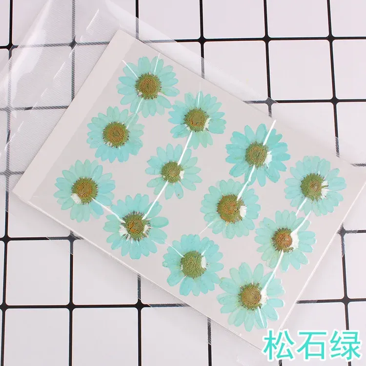 100 fleurs de chrysanthème blanches séchées pour résine