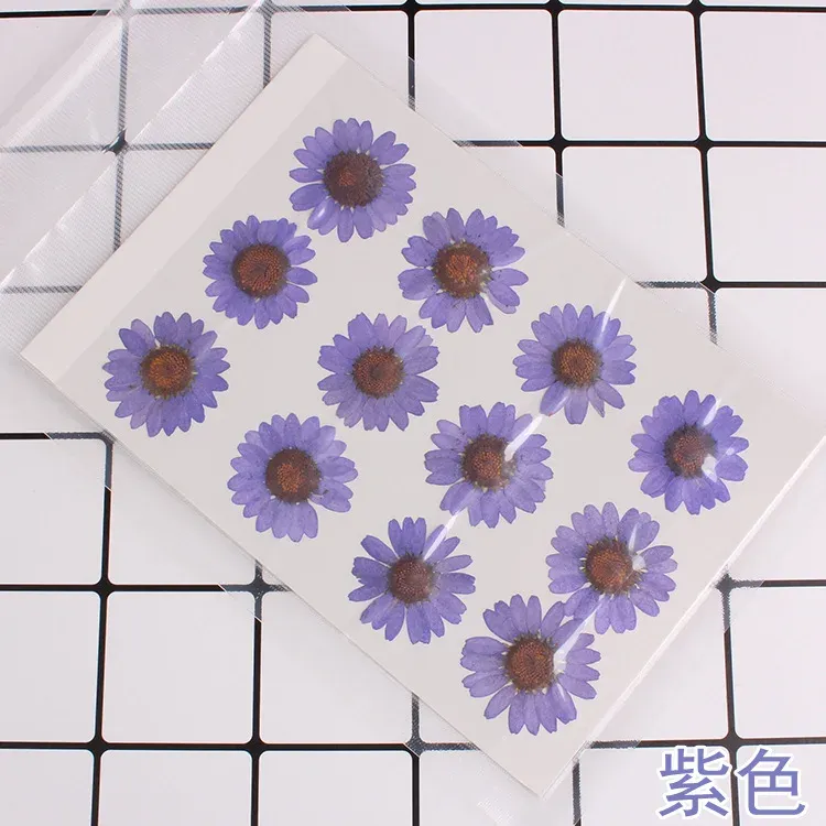 100 fleurs de chrysanthème blanches séchées pour résine