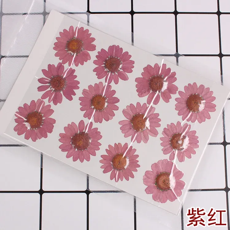 100 fleurs de chrysanthème blanches séchées pour résine