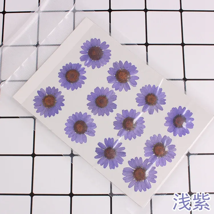 100 fleurs de chrysanthème blanches séchées pour résine