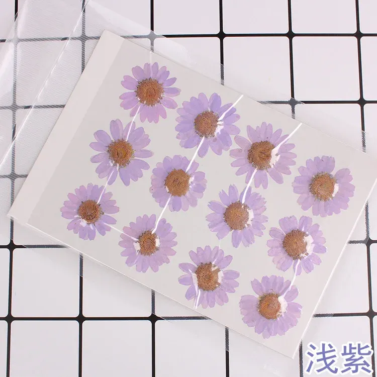 100 fleurs de chrysanthème blanches séchées pour résine
