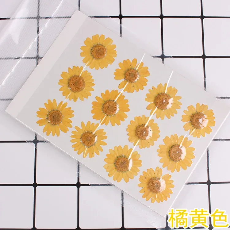 100 fleurs de chrysanthème blanches séchées pour résine