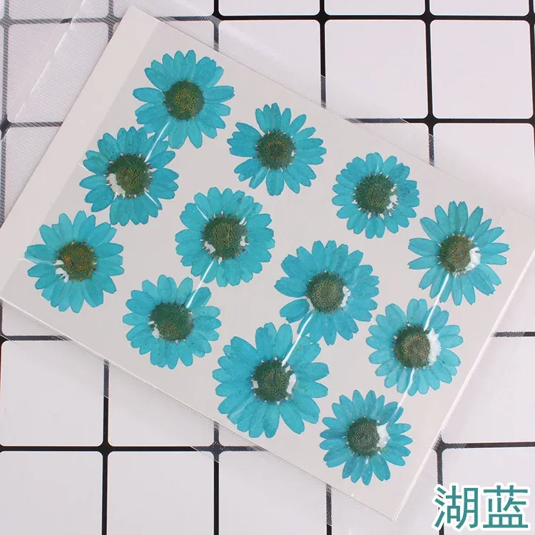 100 fleurs de chrysanthème blanches séchées pour résine
