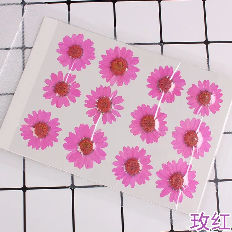 100 fleurs de chrysanthème blanches séchées pour résine