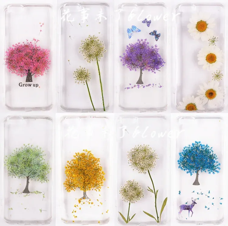 100 fleurs de chrysanthème blanches séchées pour résine