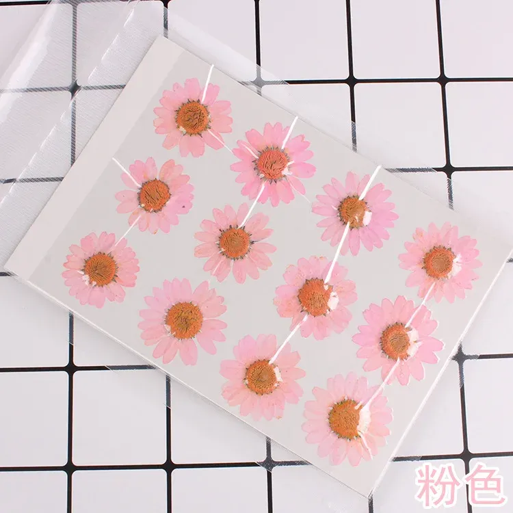 100 fleurs de chrysanthème blanches séchées pour résine