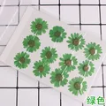 100 fleurs de chrysanthème blanches séchées pour résine – Couleur GRIS (07)