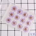 100 fleurs de chrysanthème blanches séchées pour résine – Couleur Gris foncé (08)
