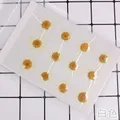 100 fleurs de chrysanthème blanches séchées pour résine – Couleur Ivoire (11)