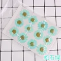 100 fleurs de chrysanthème blanches séchées pour résine – Couleur Or (06)