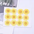 100 fleurs de chrysanthème blanches séchées pour résine – Couleur Orange (13)