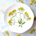 100 fleurs séchées pressées pour résine et bijoux – 1