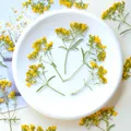 100 fleurs séchées pressées pour résine et bijoux – 2
