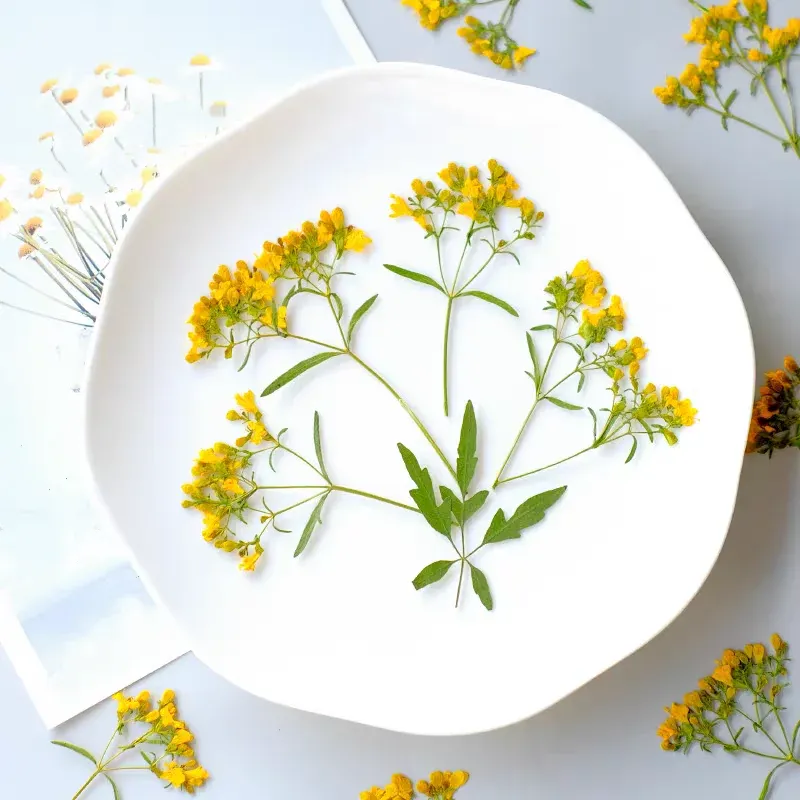 100 fleurs séchées pressées pour résine et bijoux
