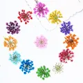 100 mini fleurs séchées pour nail art et résine – 1