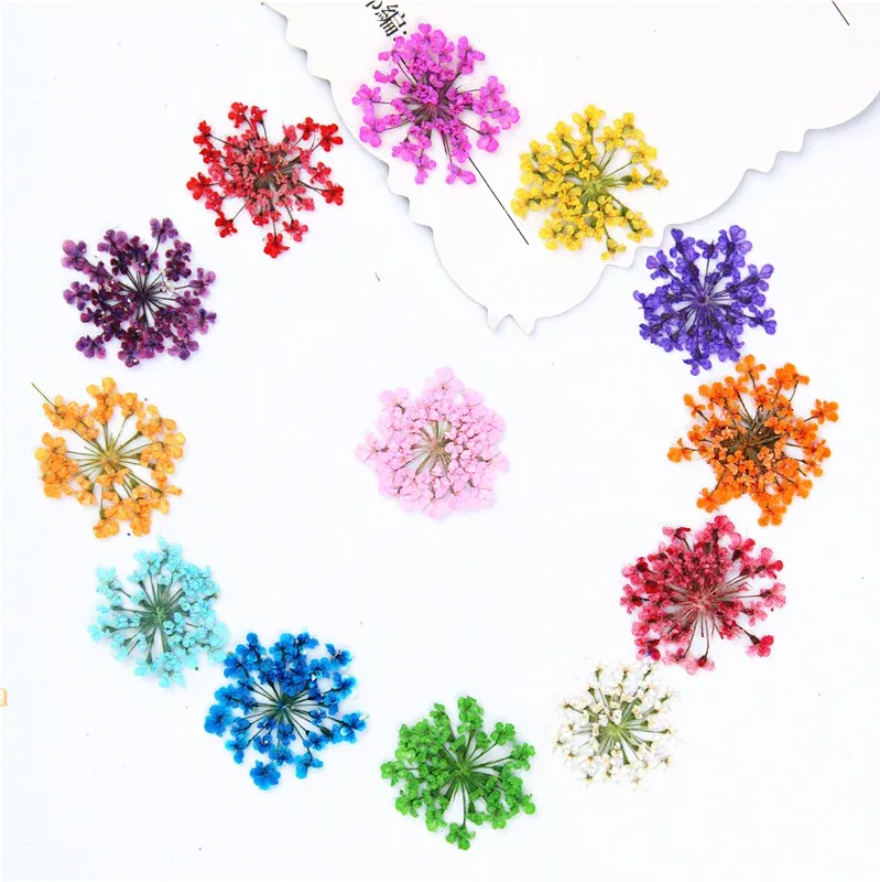 100 mini fleurs séchées pour nail art et résine