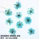 100 mini fleurs séchées pour nail art et résine – Couleur Bleu (3)