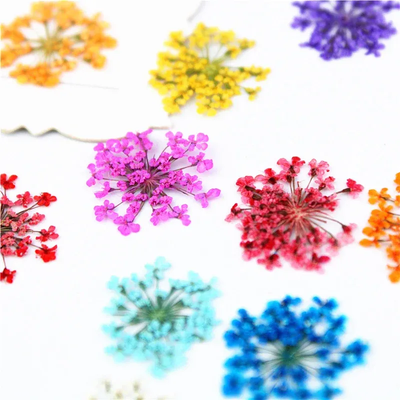 100 mini fleurs séchées pour nail art et résine