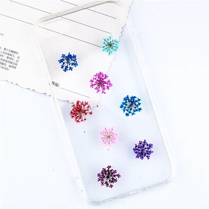 100 mini fleurs séchées pour nail art et résine