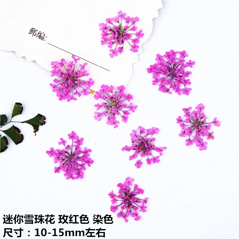 100 mini fleurs séchées pour nail art et résine
