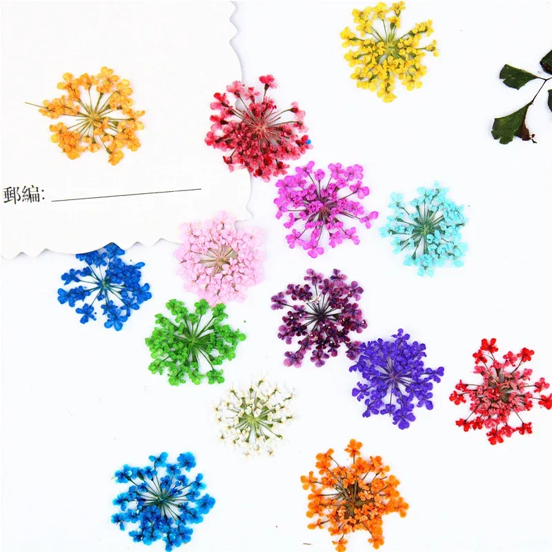 100 mini fleurs séchées pour nail art et résine
