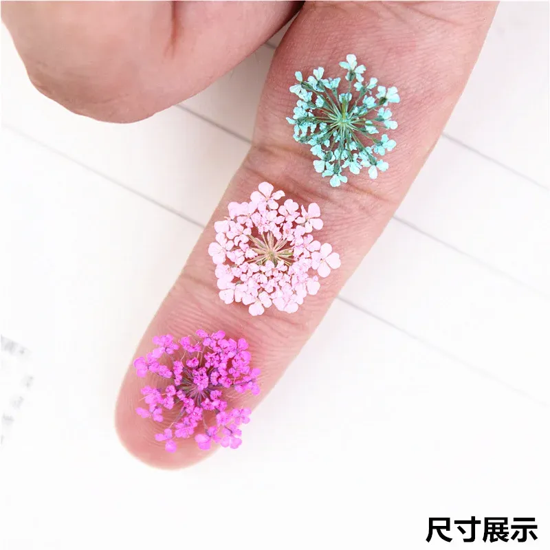 100 mini fleurs séchées pour nail art et résine