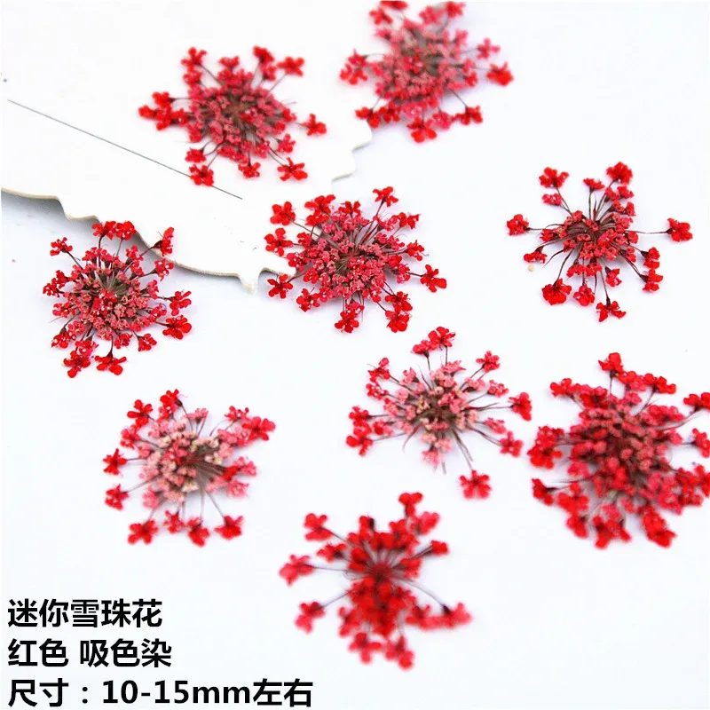 100 mini fleurs séchées pour nail art et résine