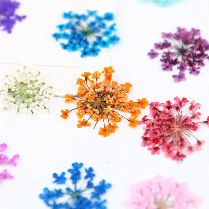 100 mini fleurs séchées pour nail art et résine