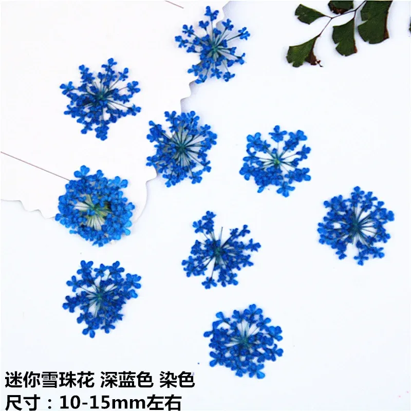 100 mini fleurs séchées pour nail art et résine