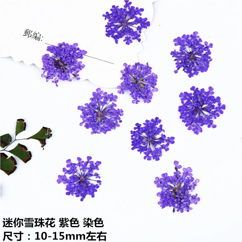 100 mini fleurs séchées pour nail art et résine