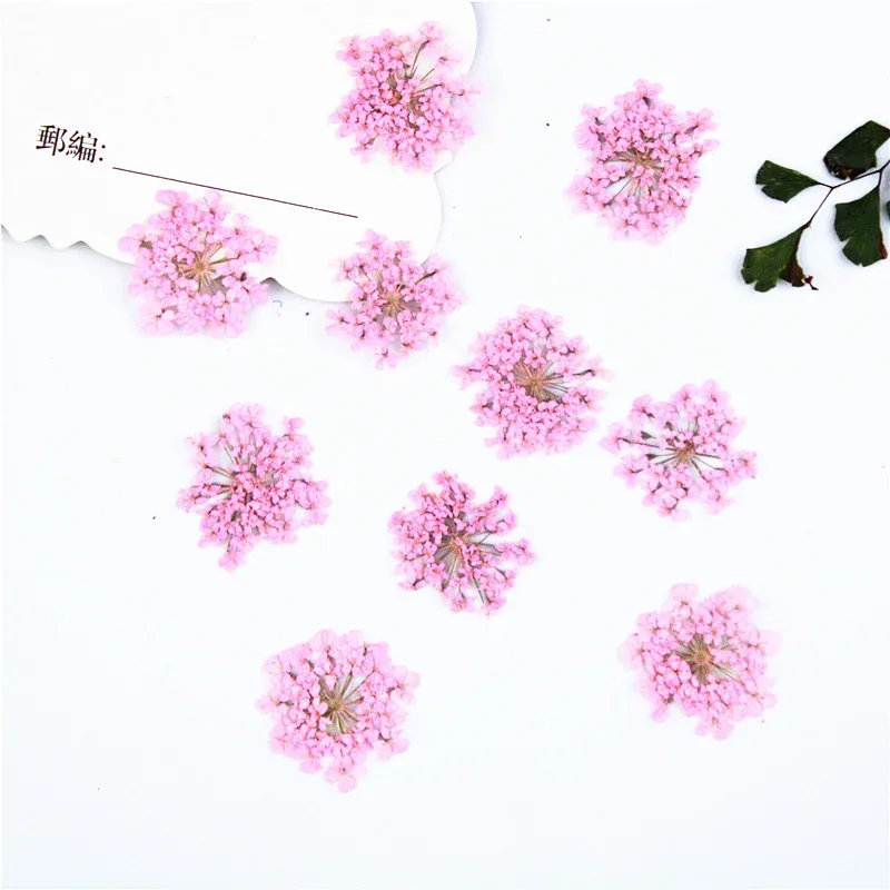 100 mini fleurs séchées pour nail art et résine