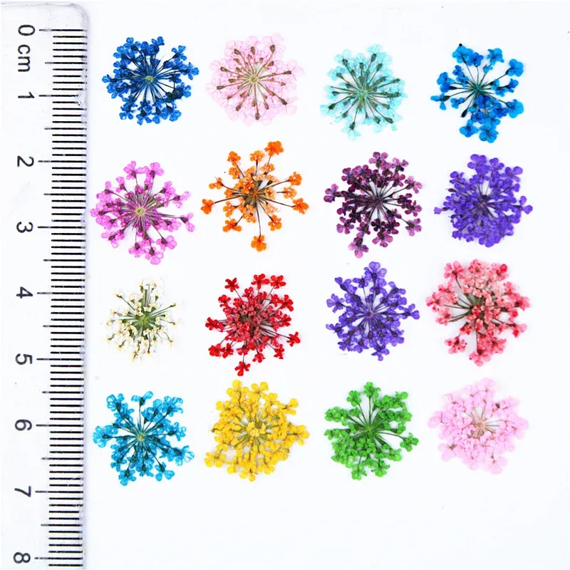 100 mini fleurs séchées pour nail art et résine