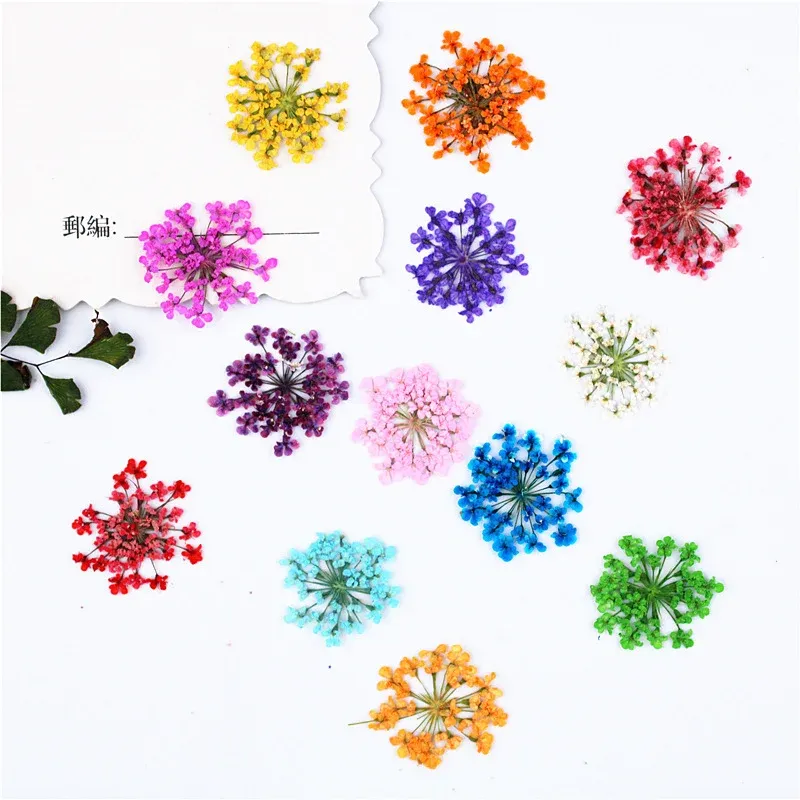 100 mini fleurs séchées pour nail art et résine