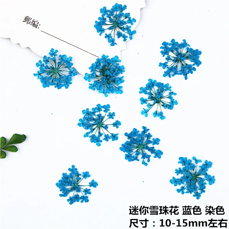 100 mini fleurs séchées pour nail art et résine