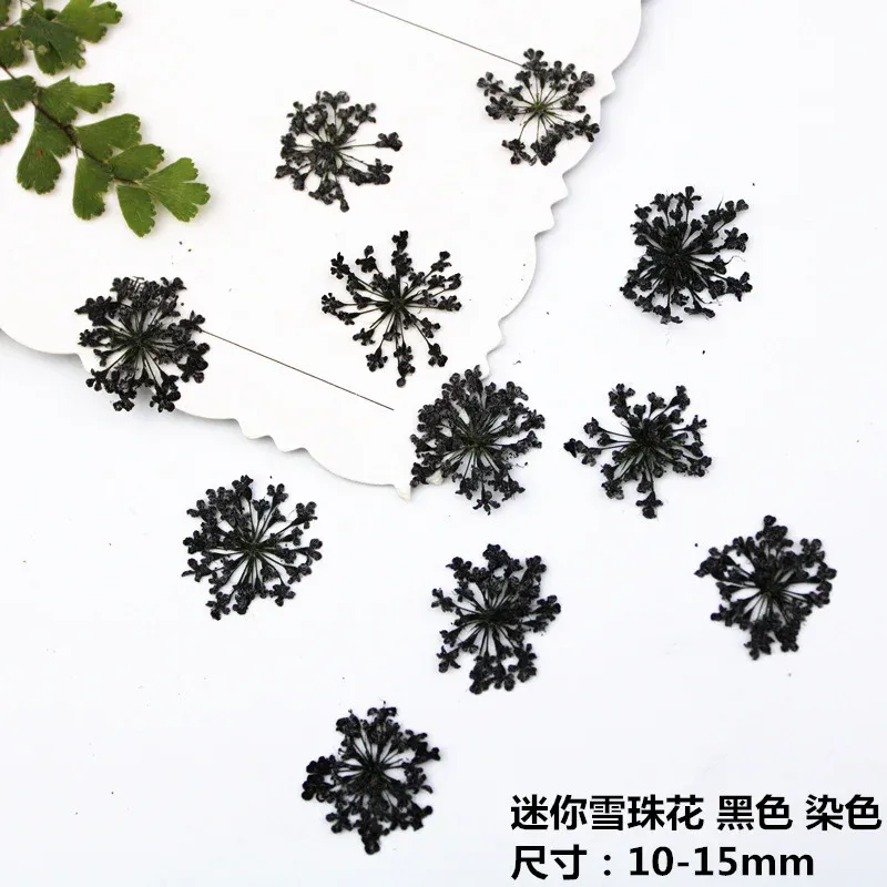 100 mini fleurs séchées pour nail art et résine