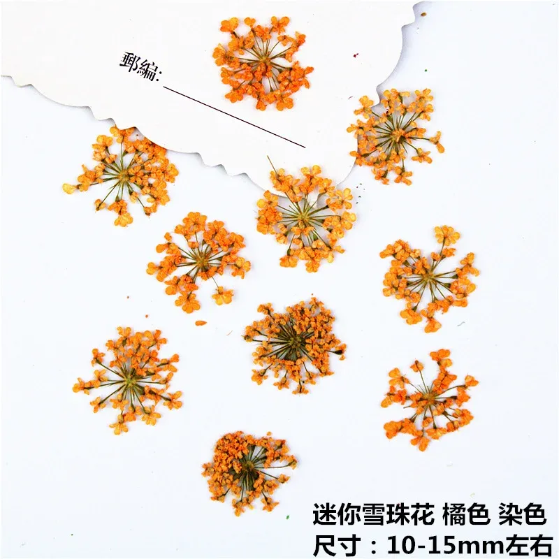 100 mini fleurs séchées pour nail art et résine