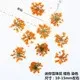 100 mini fleurs séchées pour nail art et résine – Couleur Ivoire (11)