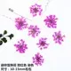 100 mini fleurs séchées pour nail art et résine – Couleur Kaki (12)