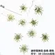 100 mini fleurs séchées pour nail art et résine – Couleur Or (6)