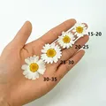 100 mini fleurs séchées pour résine et bijoux – 1