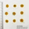 100 mini fleurs séchées pour résine et bijoux – Couleur 25-30cm