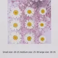 100 mini fleurs séchées pour résine et bijoux – 3