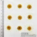 100 mini fleurs séchées pour résine et bijoux – Couleur 30-35cm