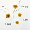 100 mini fleurs séchées pour résine et bijoux – 6