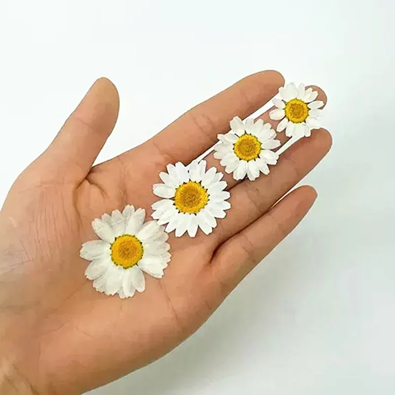 100 mini fleurs séchées pour résine et bijoux