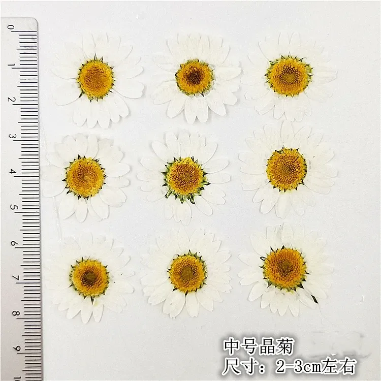 100 mini fleurs séchées pour résine et bijoux