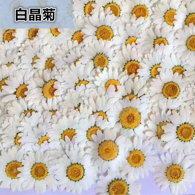 100 mini fleurs séchées pour résine et bijoux