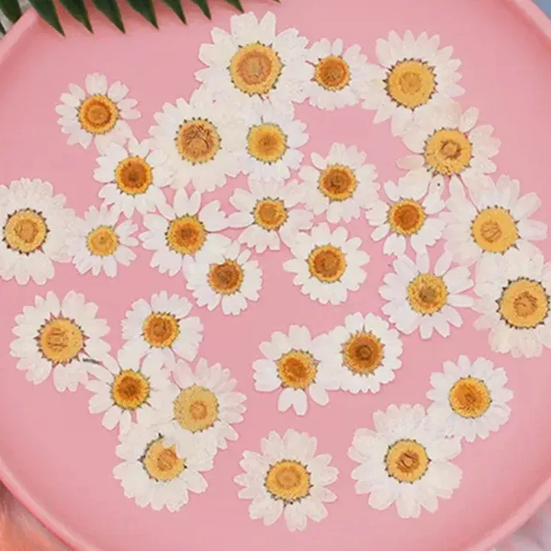 100 mini fleurs séchées pour résine et bijoux