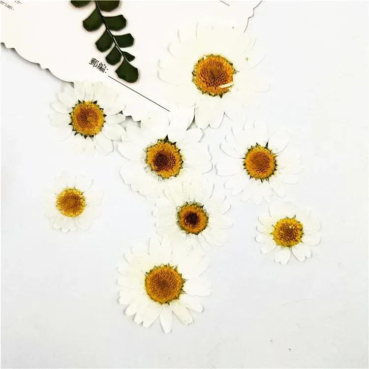 100 mini fleurs séchées pour résine et bijoux